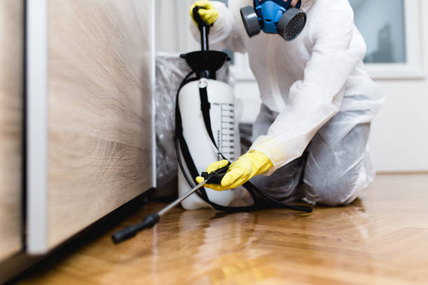 Pest Control Cost in West Hazleton, PA