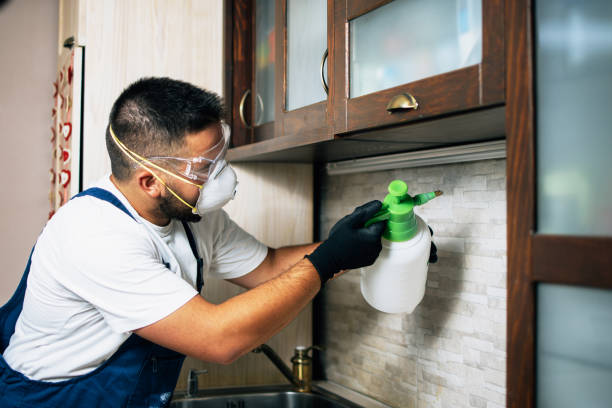 Best Emergency Pest Control  in West Hazleton, PA