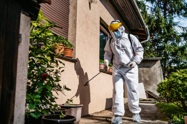 Pest Prevention Services in West Hazleton, PA